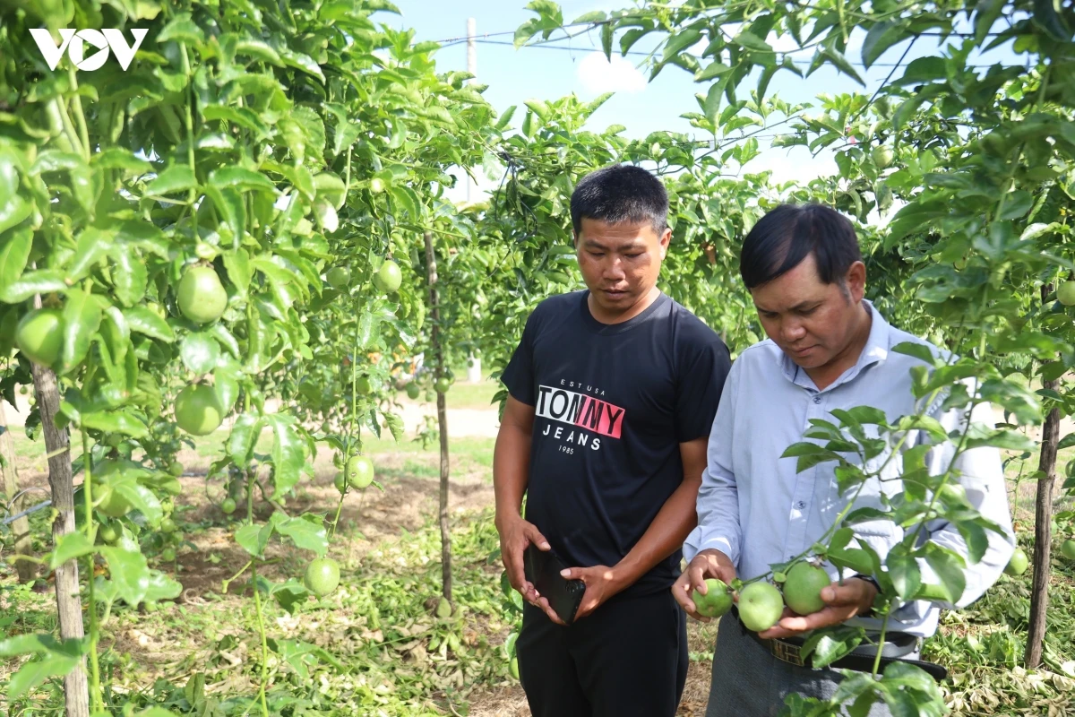 giai phap nao de quang ngai tang truong 2 con so hinh anh 1