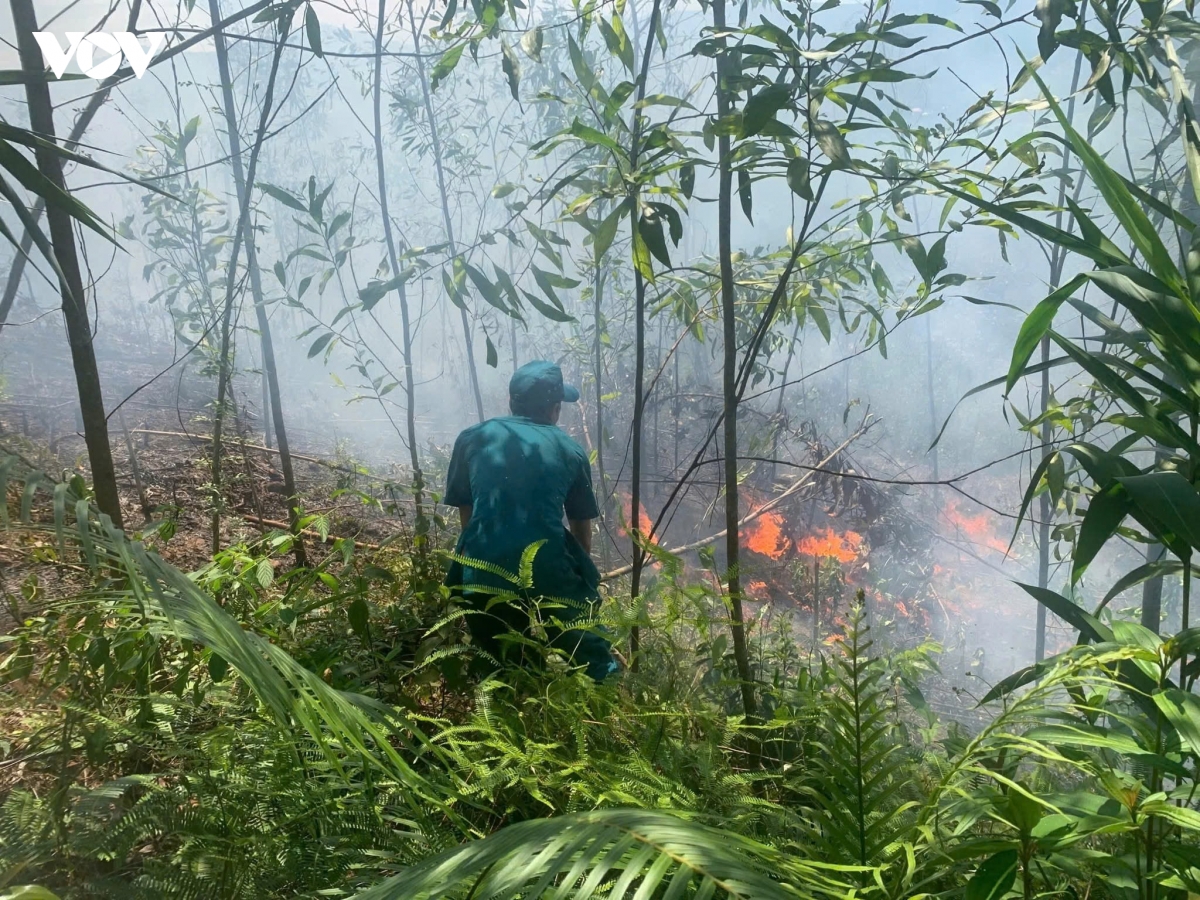 quang ngai Dot thuc bi giua nang nong, lua chay lan doi keo hinh anh 2