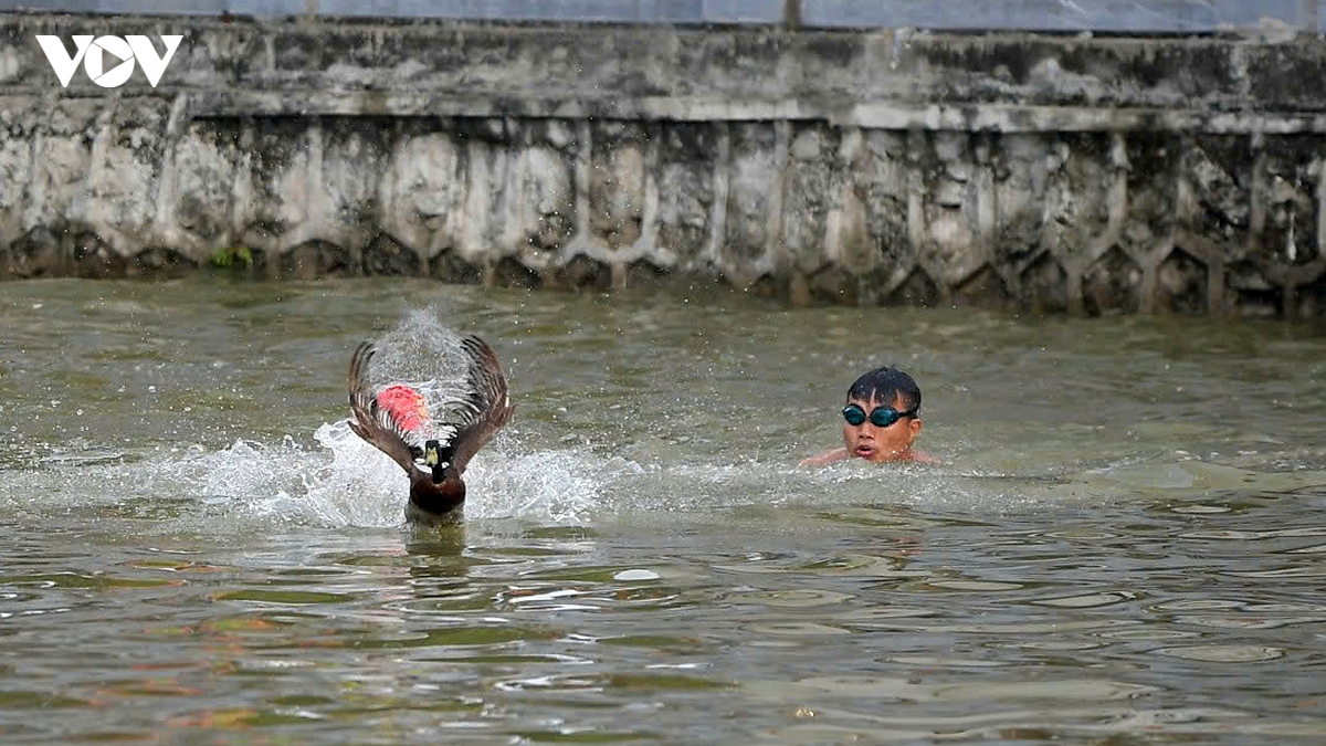 cuoi nga nghieng xem trai lang thi bat vit tai le hoi truyen thong Dinh chem hinh anh 20