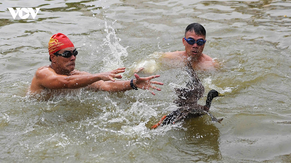 cuoi nga nghieng xem trai lang thi bat vit tai le hoi truyen thong Dinh chem hinh anh 12