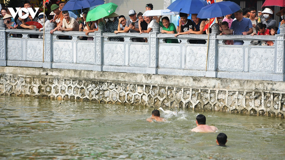 cuoi nga nghieng xem trai lang thi bat vit tai le hoi truyen thong Dinh chem hinh anh 11