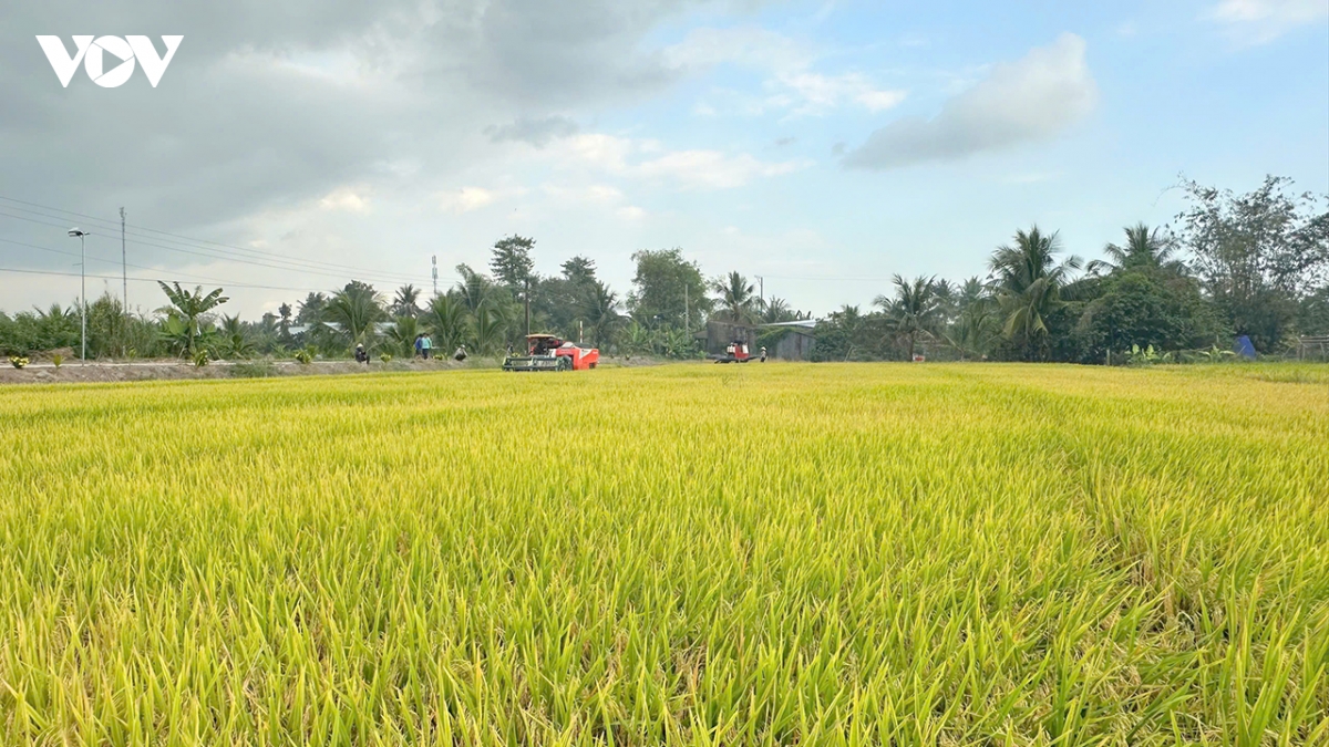 lien ket 4 nha dua cong nghe tu phong thi nghiem ra dong ruong hinh anh 2