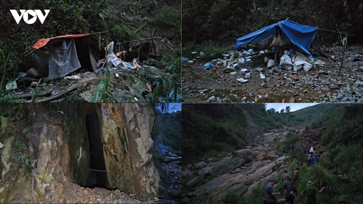 lao cai xoa so tu diem ma tuy phuc tap an nau trong rung sau hinh anh 1