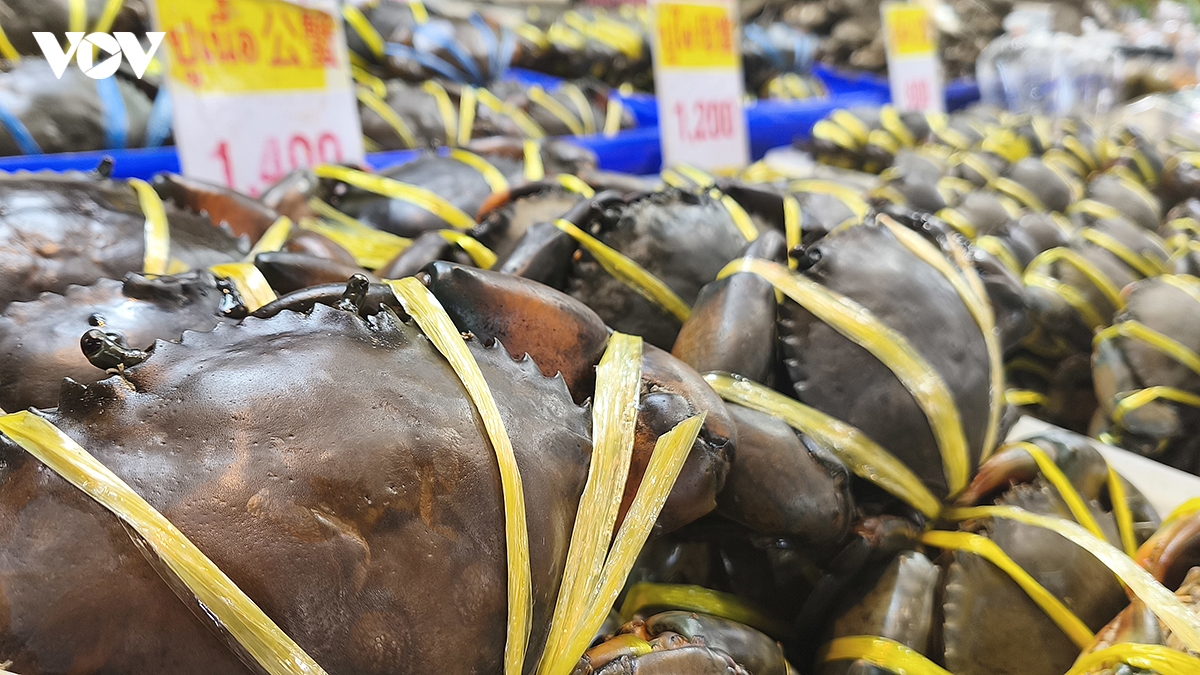 na kluea market toa do buy cook cuc hot danh cho tin do am thuc tai pattaya hinh anh 3