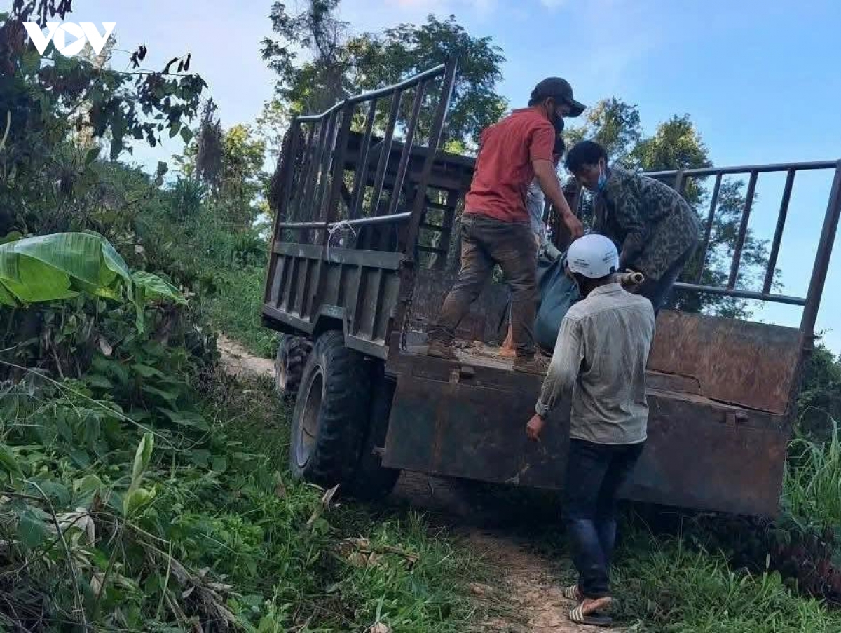 gia lai tap trung vay bat nghi pham ban chet nguoi roi lan tron trong rung hinh anh 1
