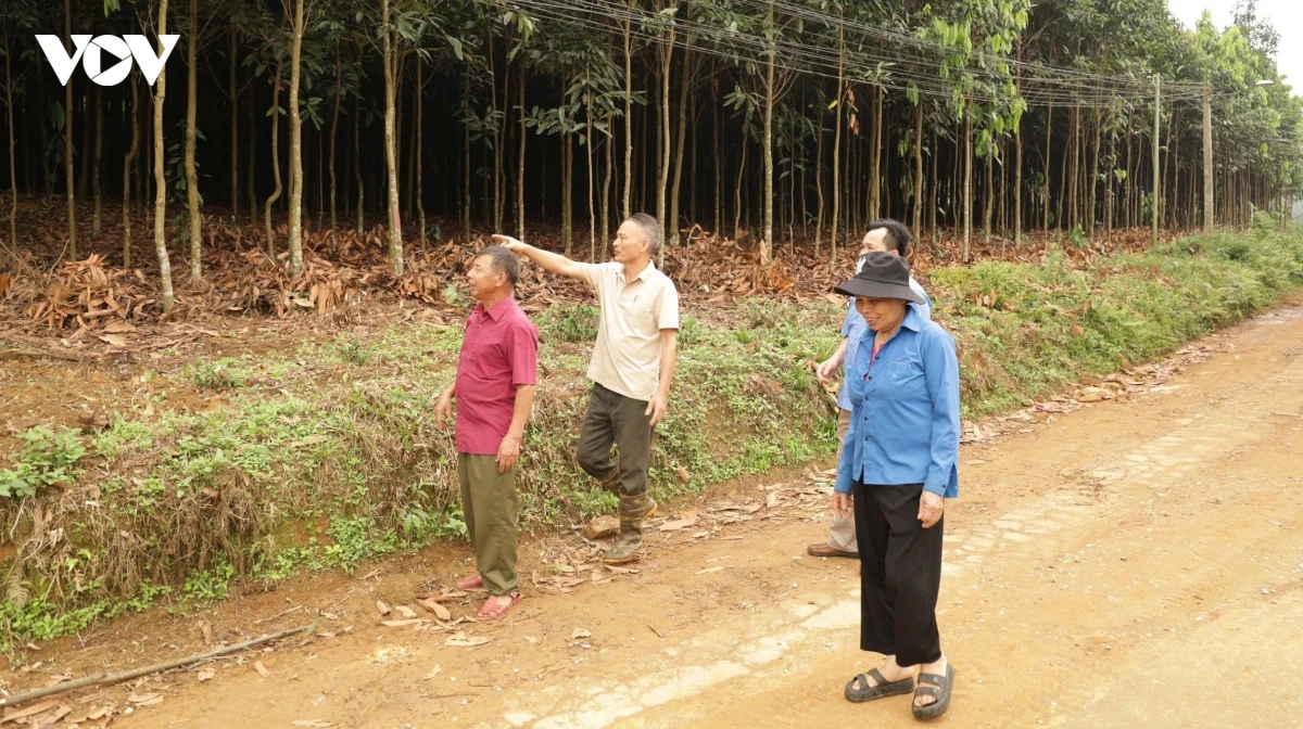 hien dat lam duong tai lao cai de xay dung que huong khang trang, hanh phuc hinh anh 1
