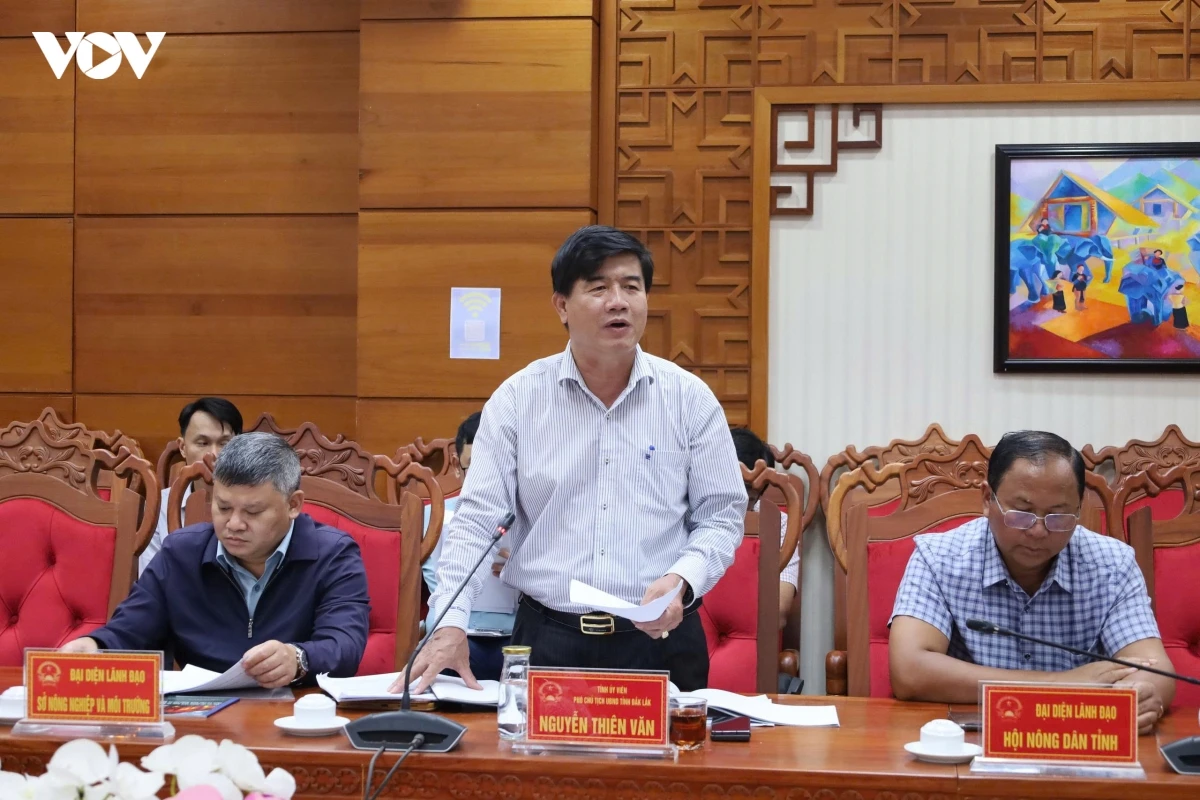 Dak lak duoc de xuat thi diem du an 9,8 trieu usd ung pho bien doi khi hau hinh anh 3