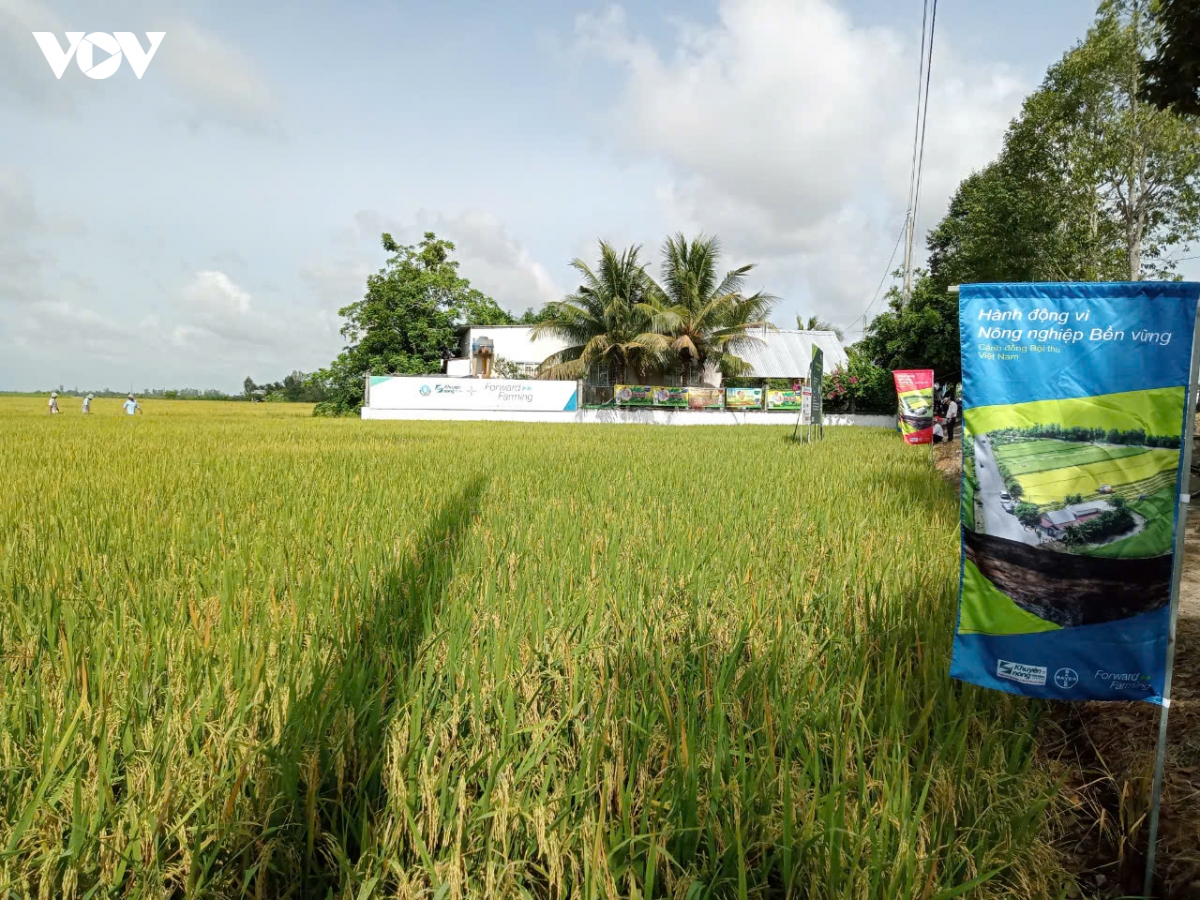 cong nghe mo duong cho chuyen doi nong nghiep xanh vung Dbscl hinh anh 4