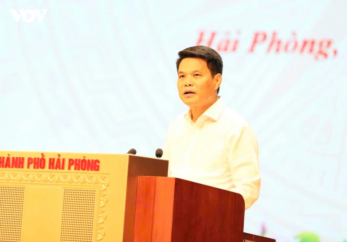 hai phong chinh quyen dia phuong 2 cap tao da tang truong hinh anh 1