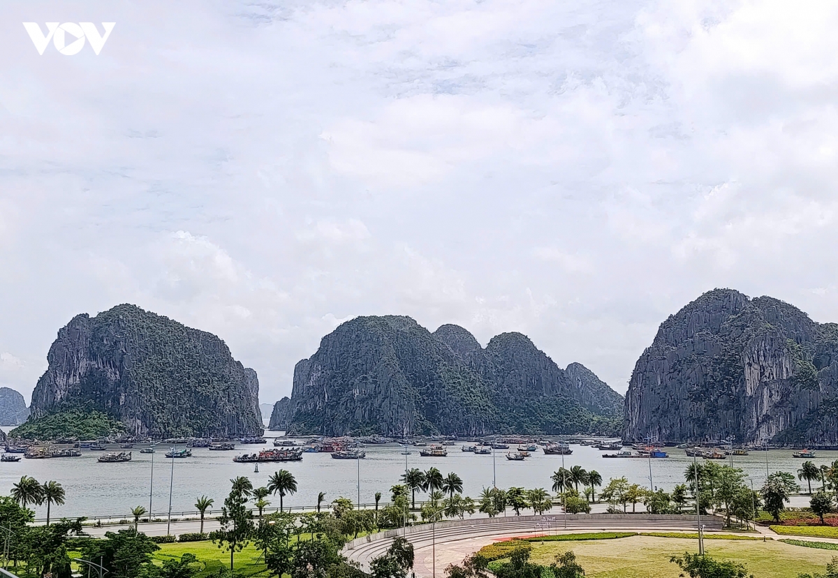 quang ninh chu dong ung pho thien tai bang cong nghe hinh anh 4