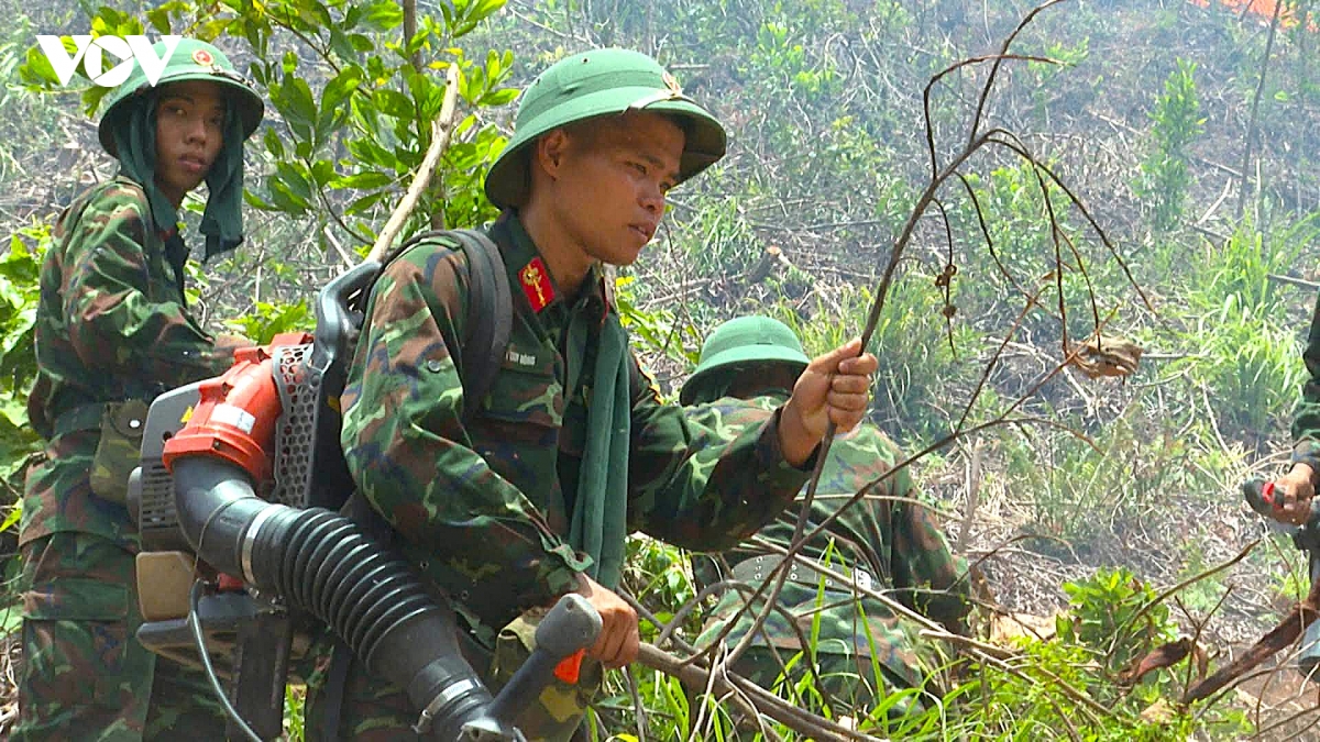 gan 1.000 nguoi tham gia chua chay rung o nghe an hinh anh 9