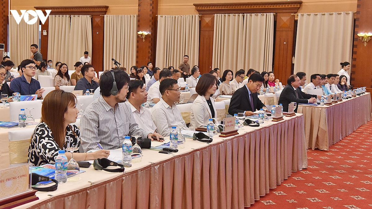 le hoi vi hoa binh 2026 tu ky uc den tuong lai - quang tri vi hoa binh hinh anh 4