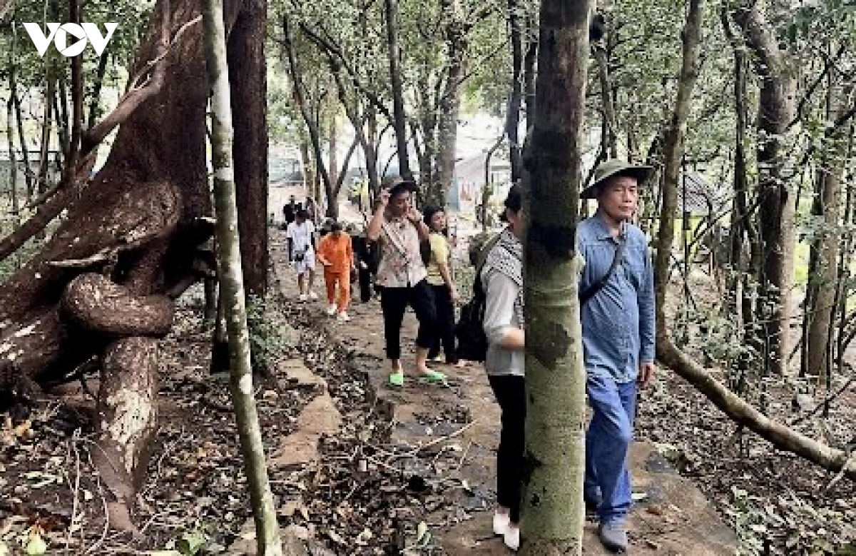 Dau tu bao ton cac khu ramsar vi mot viet nam xanh hinh anh 2