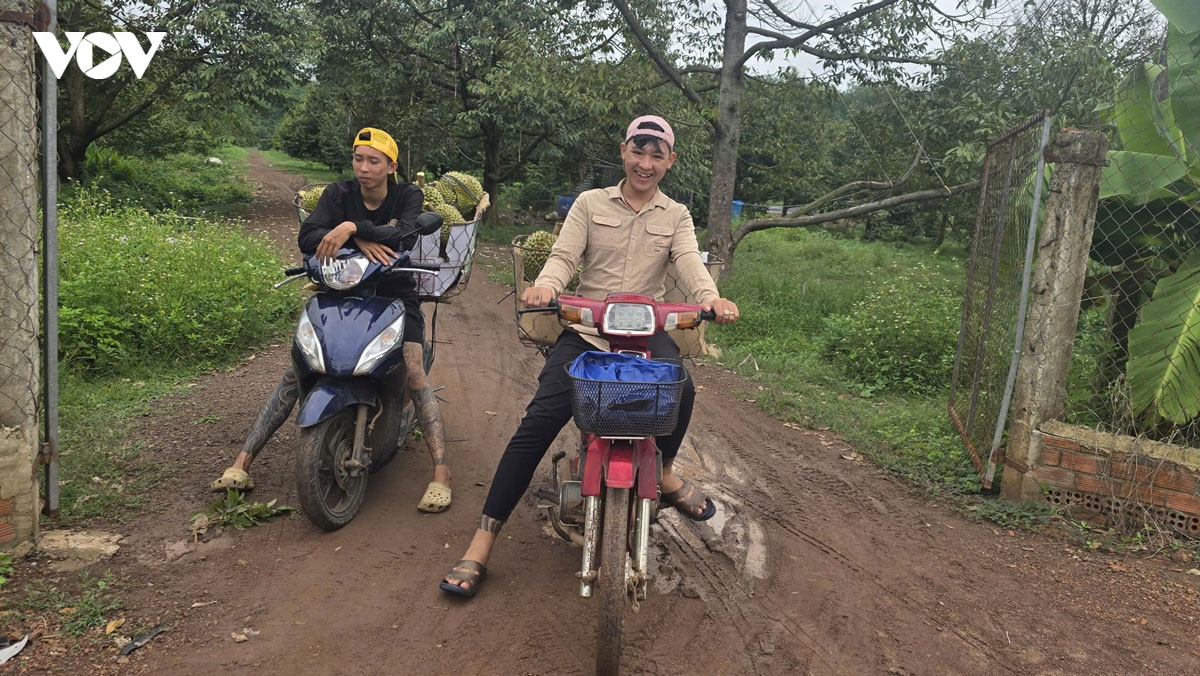 Doc la nghe go sau rieng , thu nhap 60 trieu thang hinh anh 6