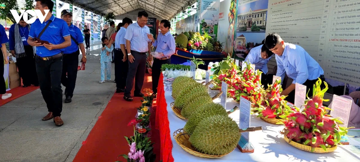 Dong thap hoi tu nhieu loai trai cay dac san tru danh cua vung dat phuong nam hinh anh 6