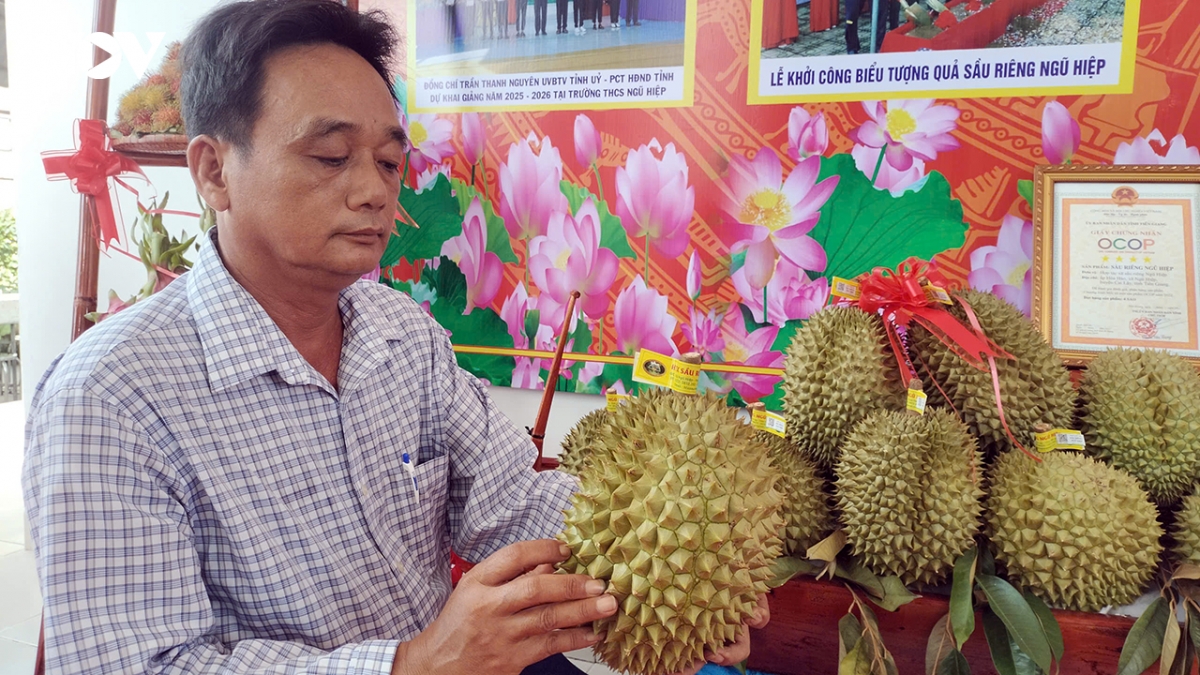 Dong thap ra mat cong trinh bieu tuong trai sau rieng ngu hiep hinh anh 3