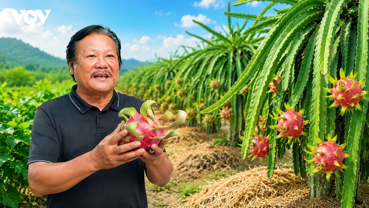 nong san viet chuyen huong sang nam A, cung co thi truong trong diem hinh anh 1