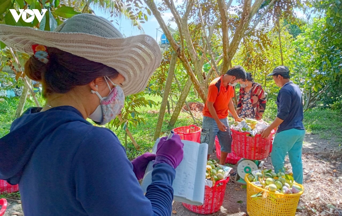 vung nguyen lieu minh bach de nang cao nang luc phong ve thuong mai cho nong san hinh anh 4