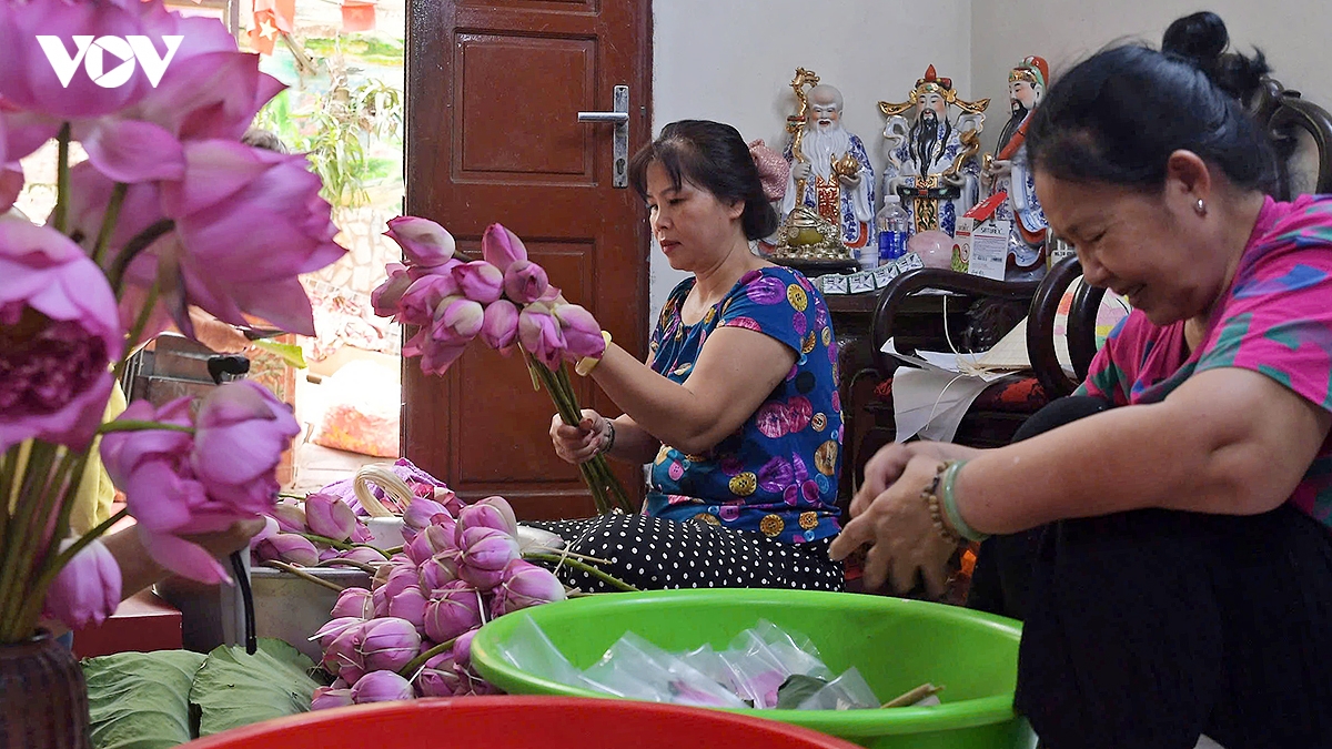 le hoi sen ha noi 2026 ton vinh nghe thuat uop tra sen truyen thong quang an hinh anh 2