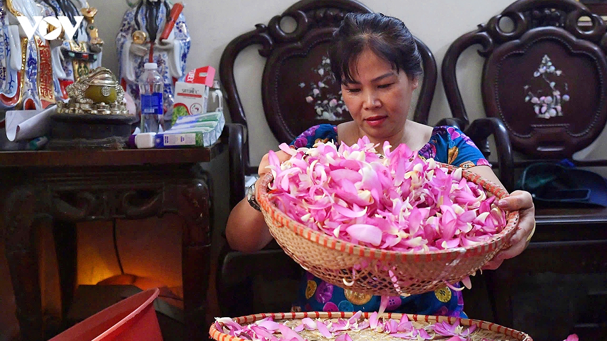 le hoi sen ha noi 2026 ton vinh nghe thuat uop tra sen truyen thong quang an hinh anh 7