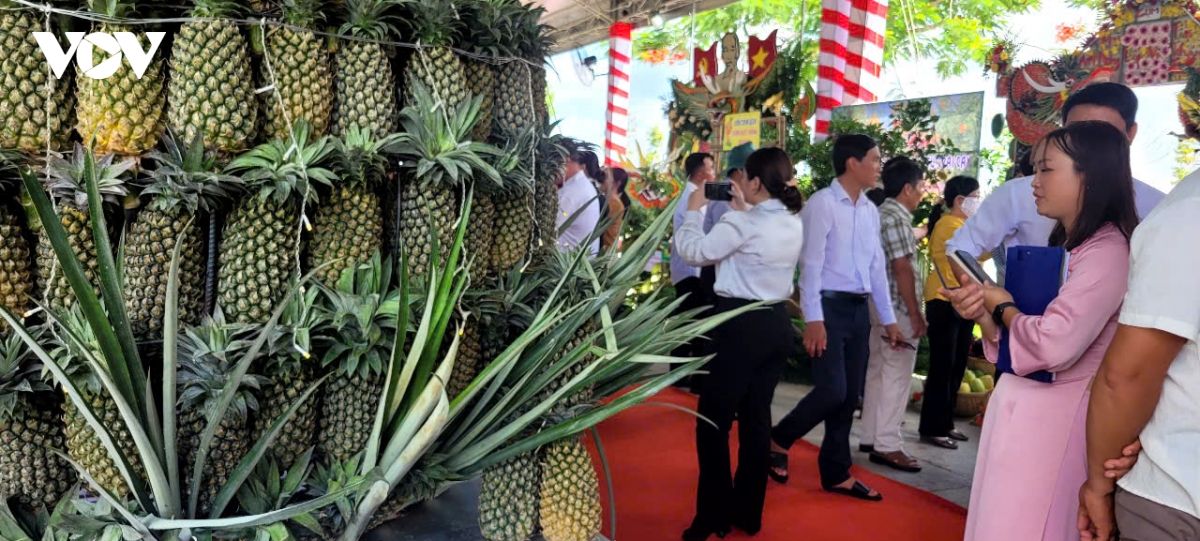 Dong thap hoi tu nhieu loai trai cay dac san tru danh cua vung dat phuong nam hinh anh 2
