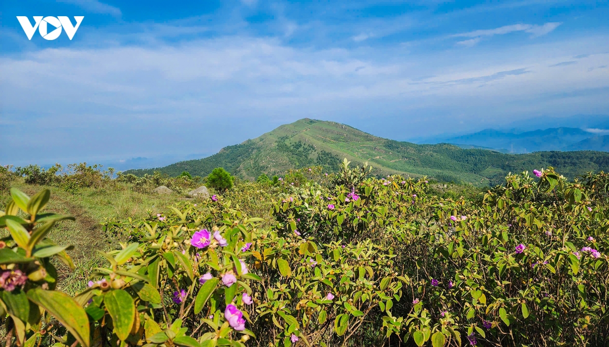 chinh phuc duong chay trail bang rung vuot nui o uong bi quang ninh hinh anh 6