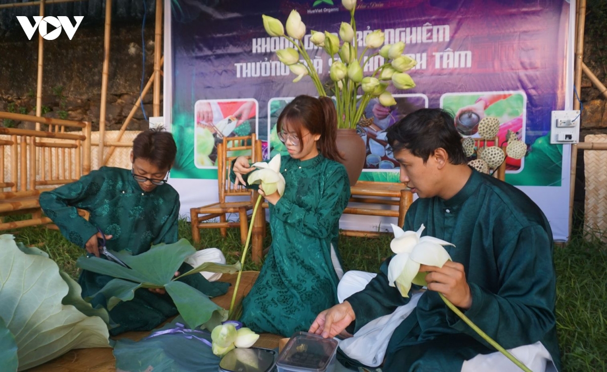 ngay hoi sen hue 2026 Danh thuc ve dep sen ngu giua long co do hinh anh 1