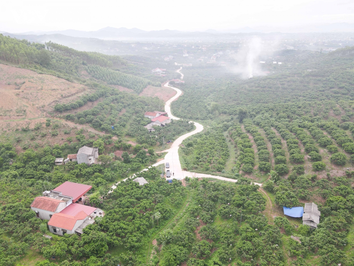 khong con canh thuc trang dem hai vai thieu o bac ninh nhu moi nam hinh anh 1