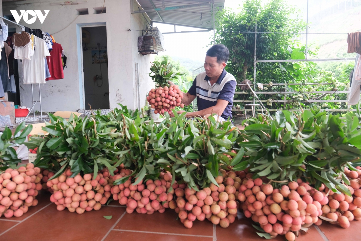 khong con canh thuc trang dem hai vai thieu o bac ninh nhu moi nam hinh anh 10