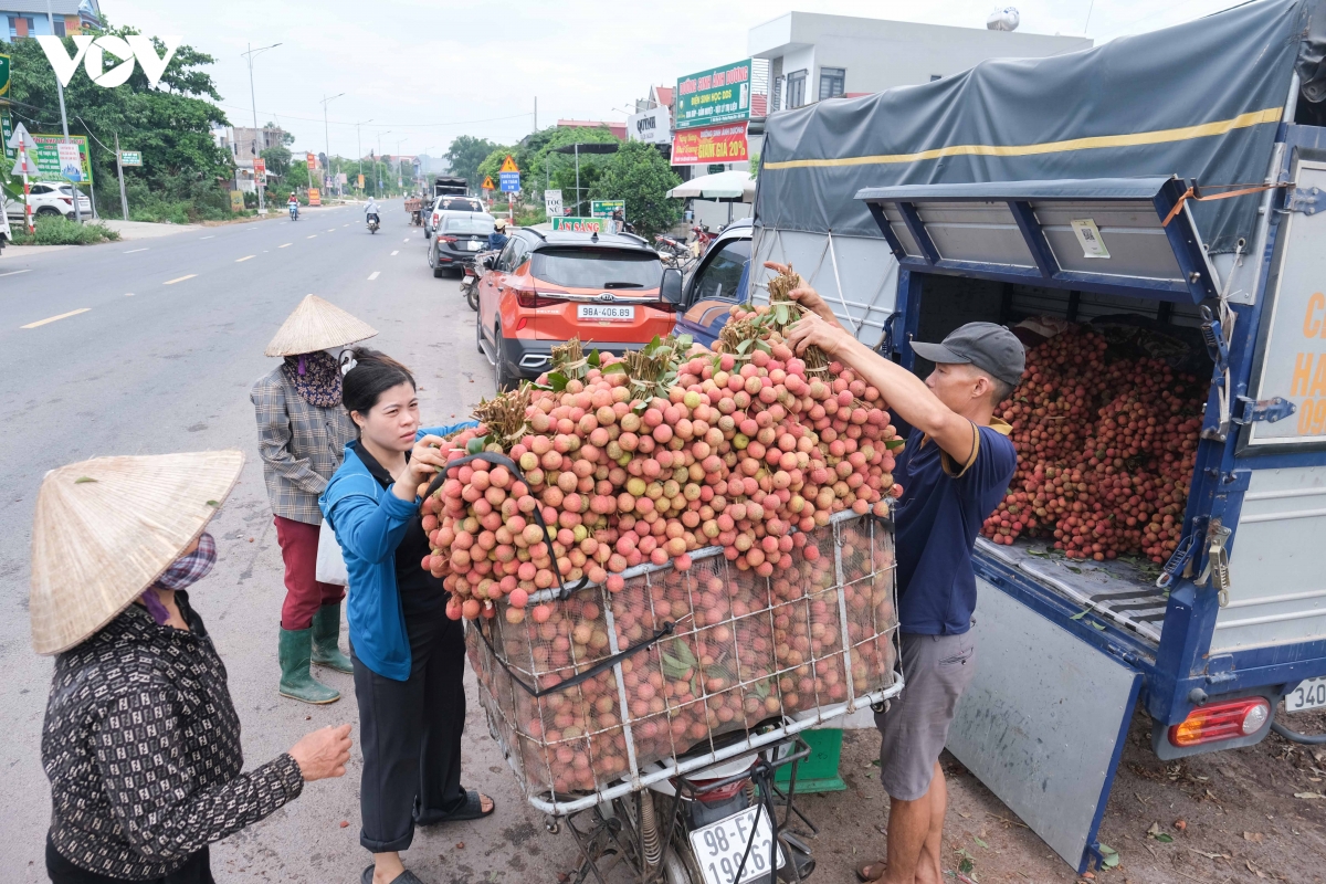 khong con canh thuc trang dem hai vai thieu o bac ninh nhu moi nam hinh anh 12