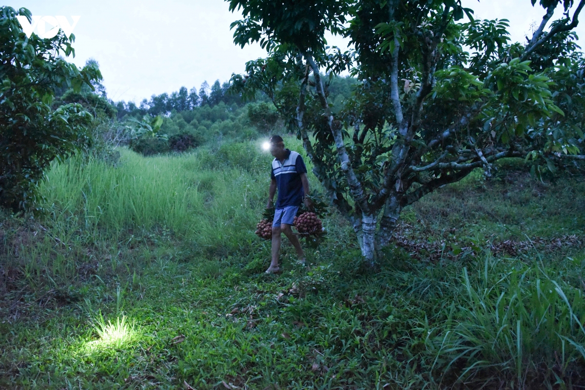 khong con canh thuc trang dem hai vai thieu o bac ninh nhu moi nam hinh anh 9