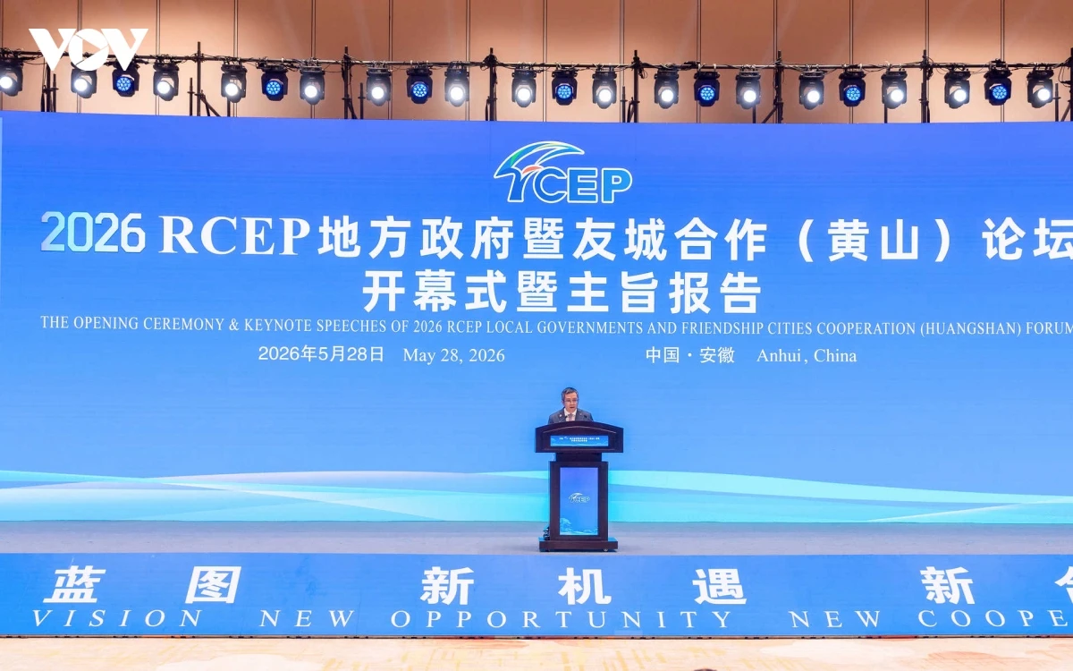 viet nam tich cuc tang cuong ket noi dia phuong trong khuon kho rcep hinh anh 1