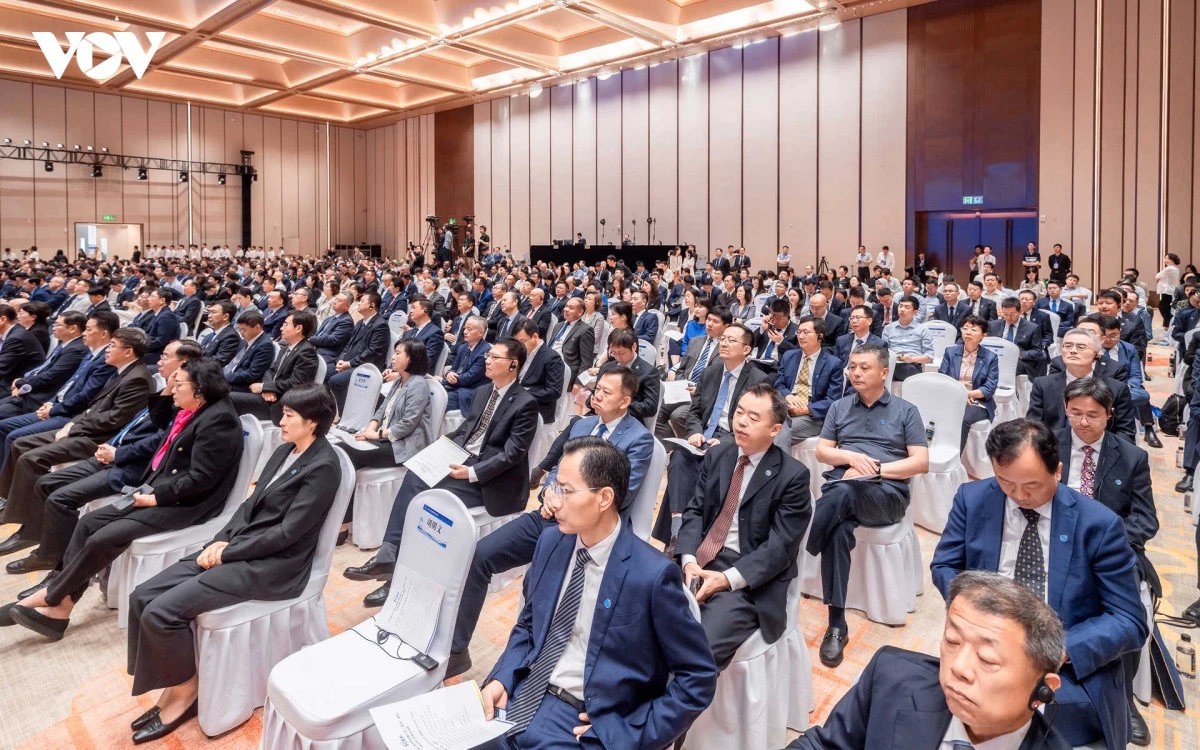 viet nam tich cuc tang cuong ket noi dia phuong trong khuon kho rcep hinh anh 3