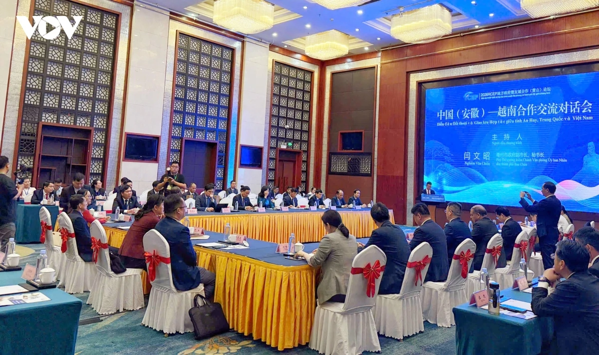 viet nam tich cuc tang cuong ket noi dia phuong trong khuon kho rcep hinh anh 2