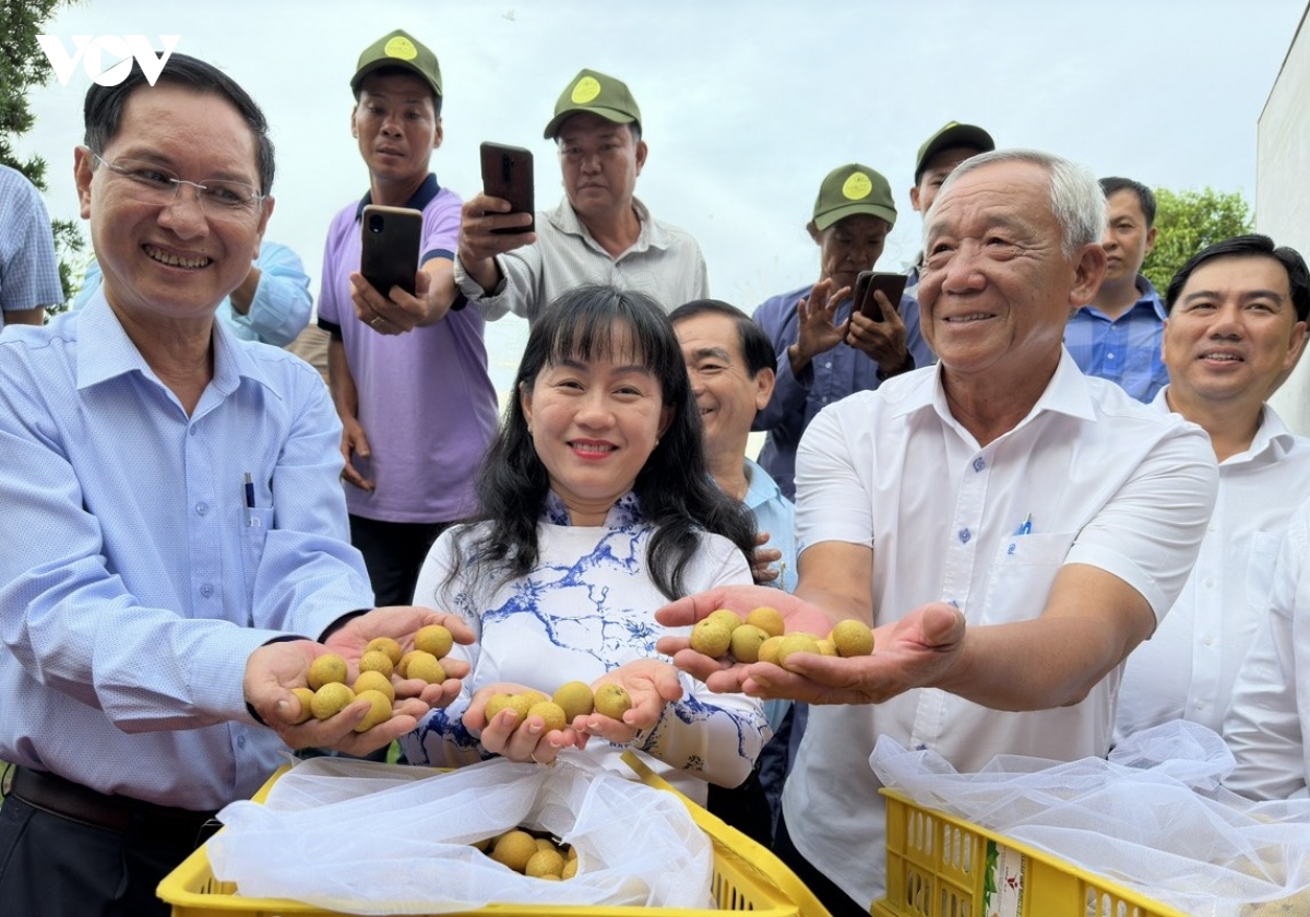 vung nguyen lieu minh bach de nang cao nang luc phong ve thuong mai cho nong san hinh anh 5
