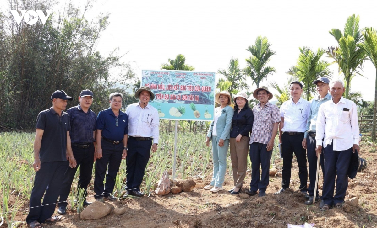 Dong bao mien nui quang ngai thay doi tu duy lam nong nghiep hinh anh 4
