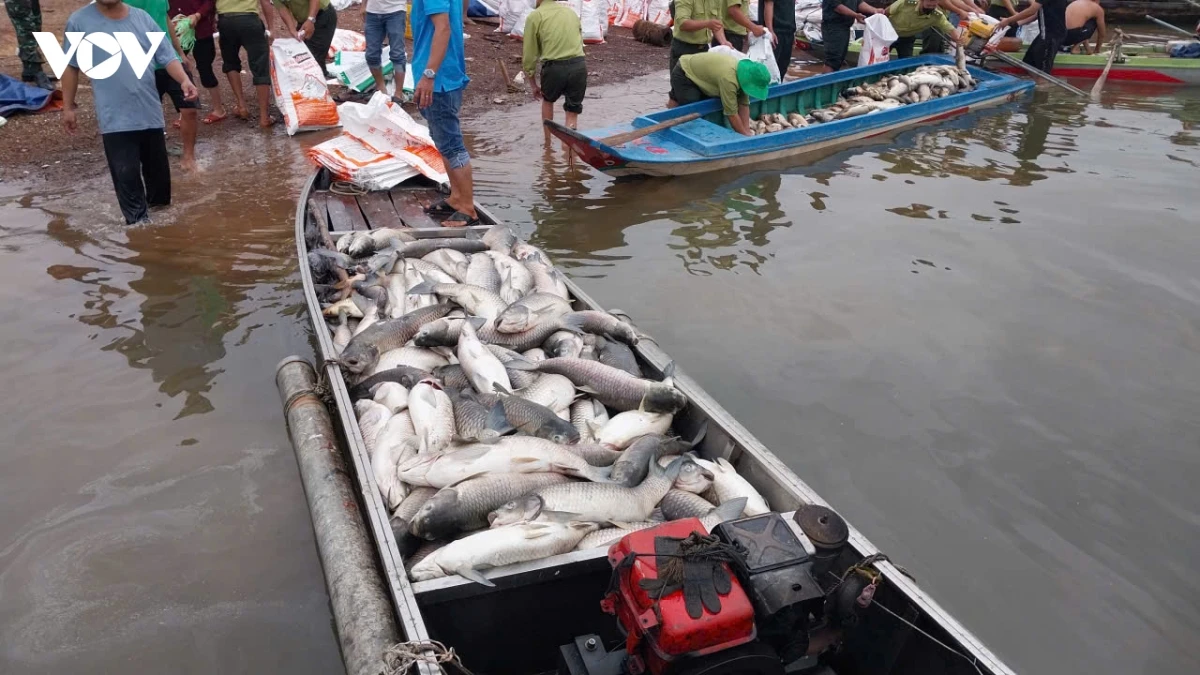 xot xa canh hon 100 tan ca chet trang o tren ho tri an hinh anh 2
