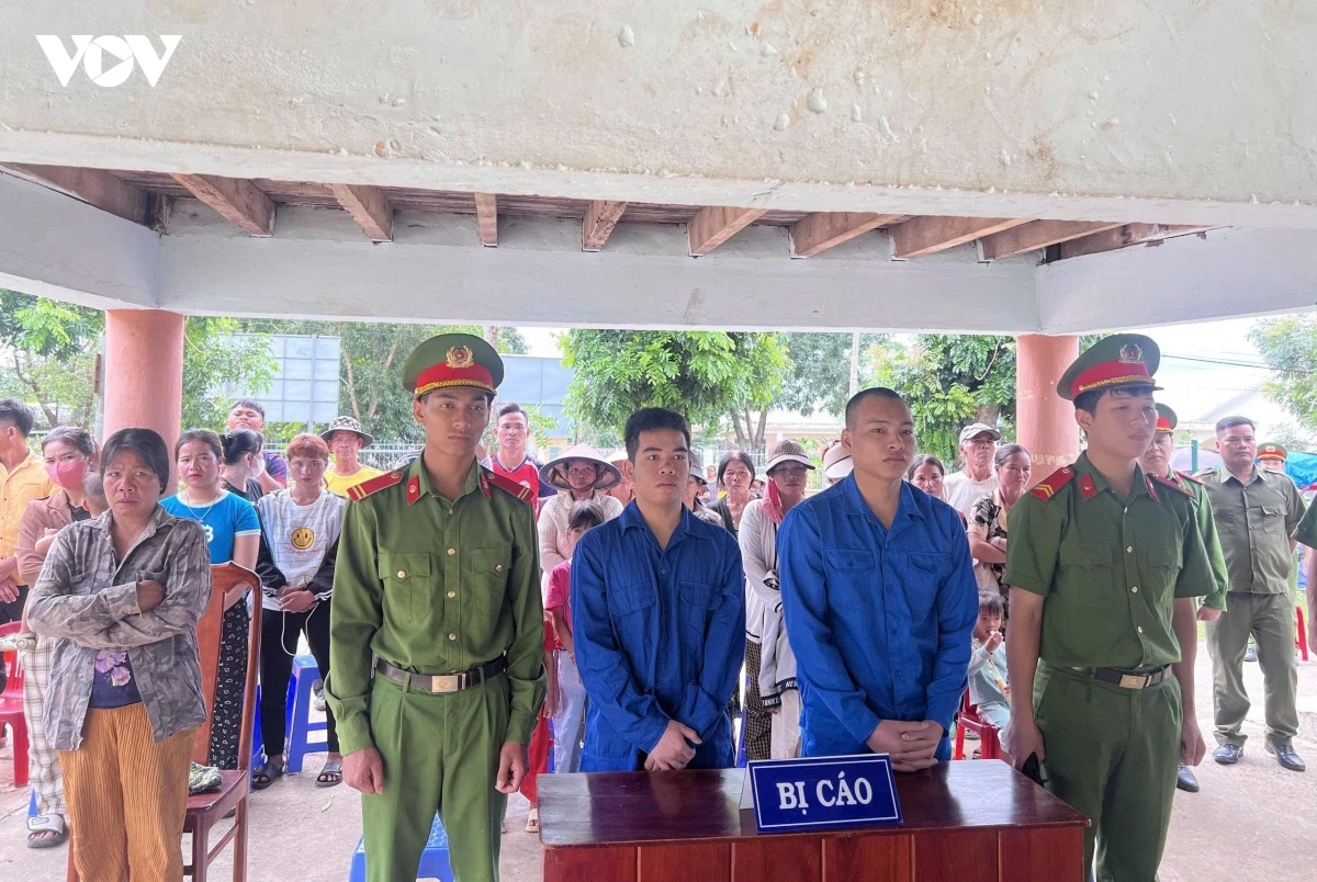 mua ma tuy ve su dung, hai thanh nien linh an tu hinh anh 1