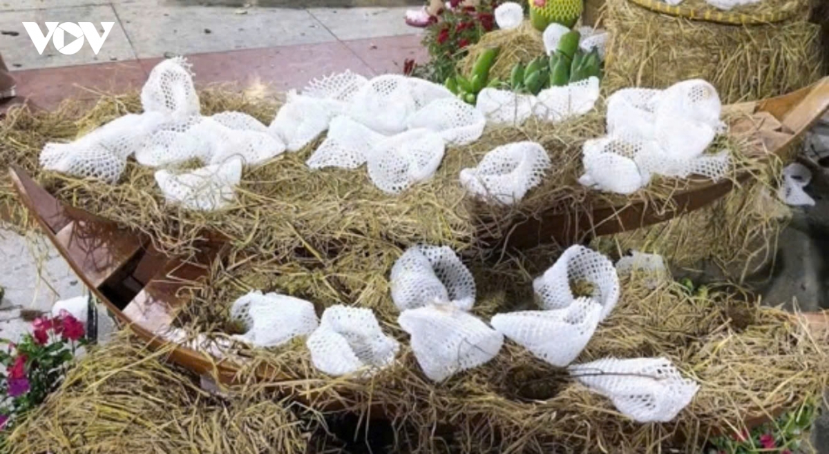 tieu canh trai cay bi vat pha ngay trong dem khai mac le hoi trai cay Dong thap hinh anh 6