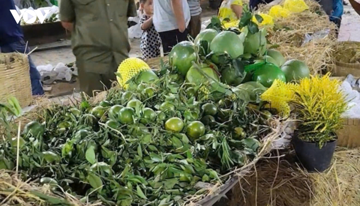 tieu canh trai cay bi vat pha ngay trong dem khai mac le hoi trai cay Dong thap hinh anh 5