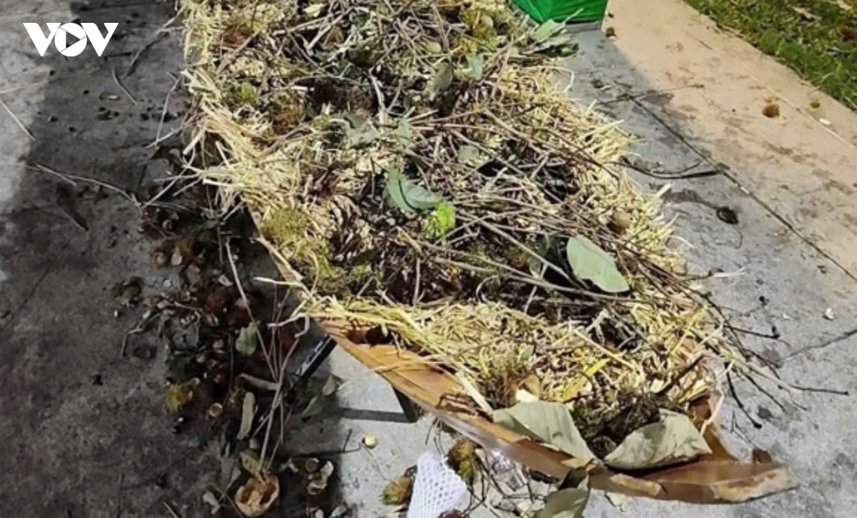 tieu canh trai cay bi vat pha ngay trong dem khai mac le hoi trai cay Dong thap hinh anh 1
