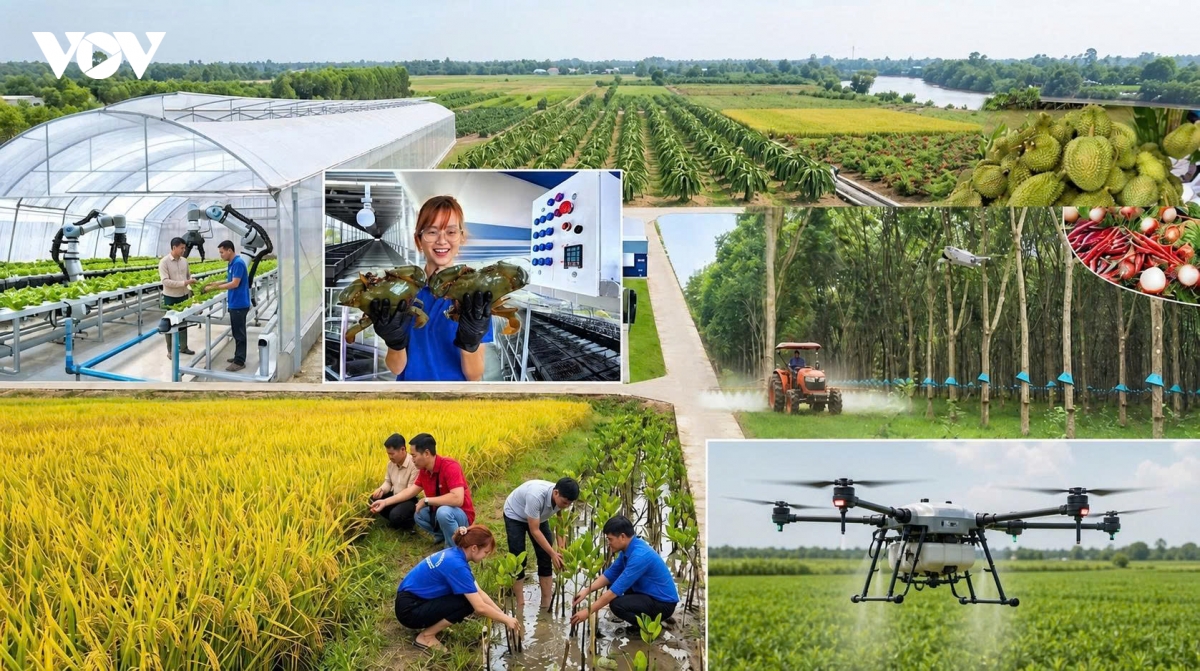 TP.HCM nâng tầm nông nghiệp đô thị