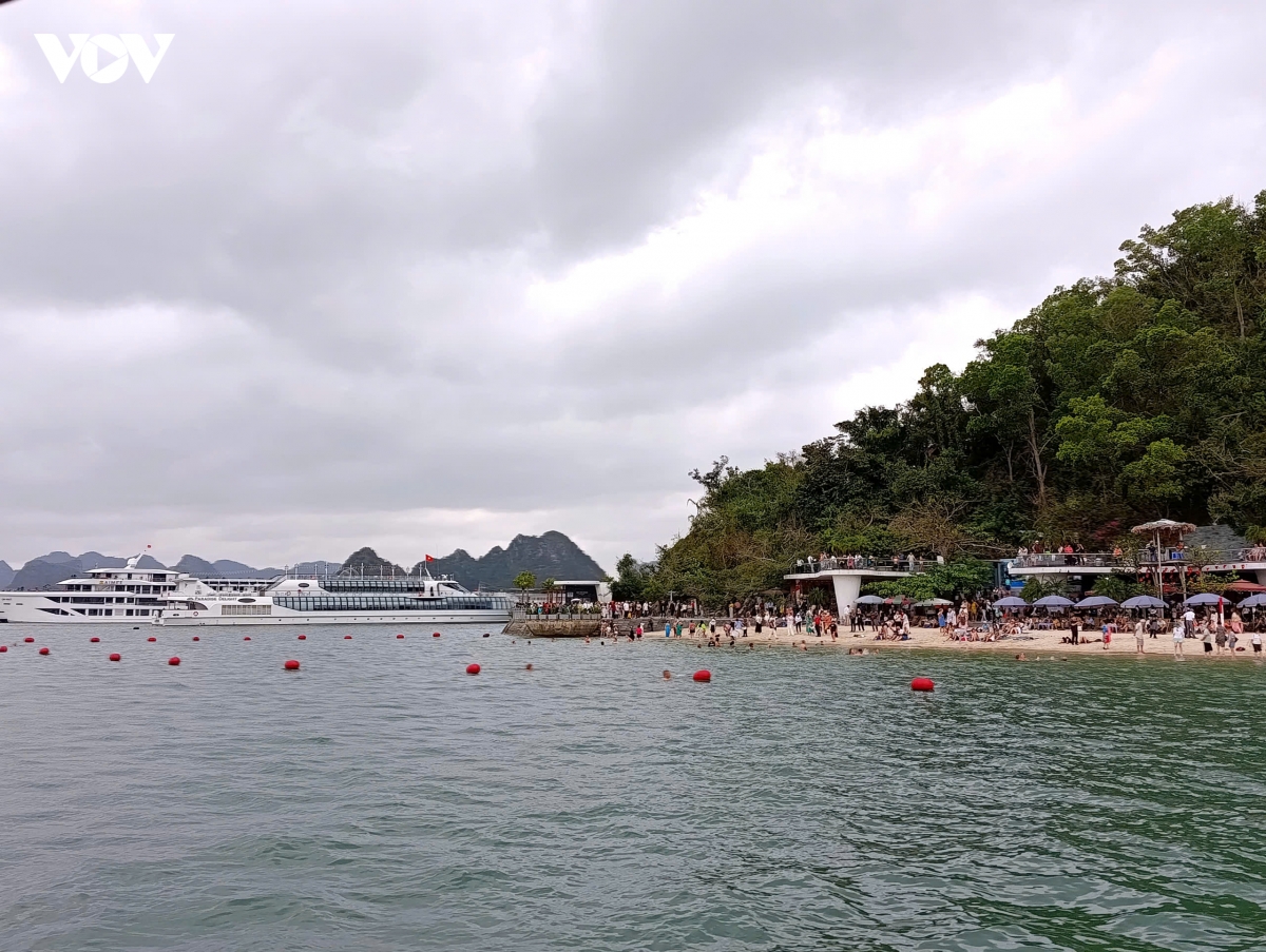 Quảng Ninh siết an toàn trước bão số 1, tạm dừng tàu lưu trú trên vịnh Hạ Long