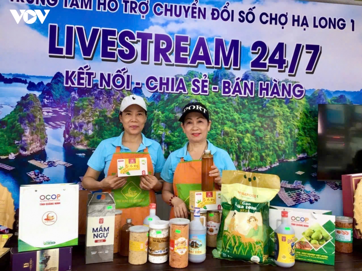quang ninh dua nghi quyet 57 vao cho hanh trinh khong de nhung tat yeu hinh anh 4