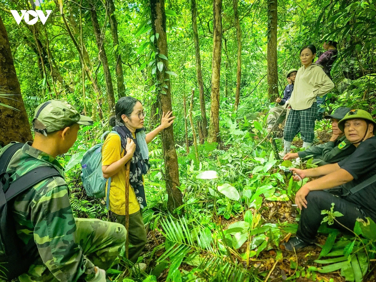 quang ninh hanh trinh danh thuc nhung lao tra tram tuoi tai vung dat Duong hoa hinh anh 7