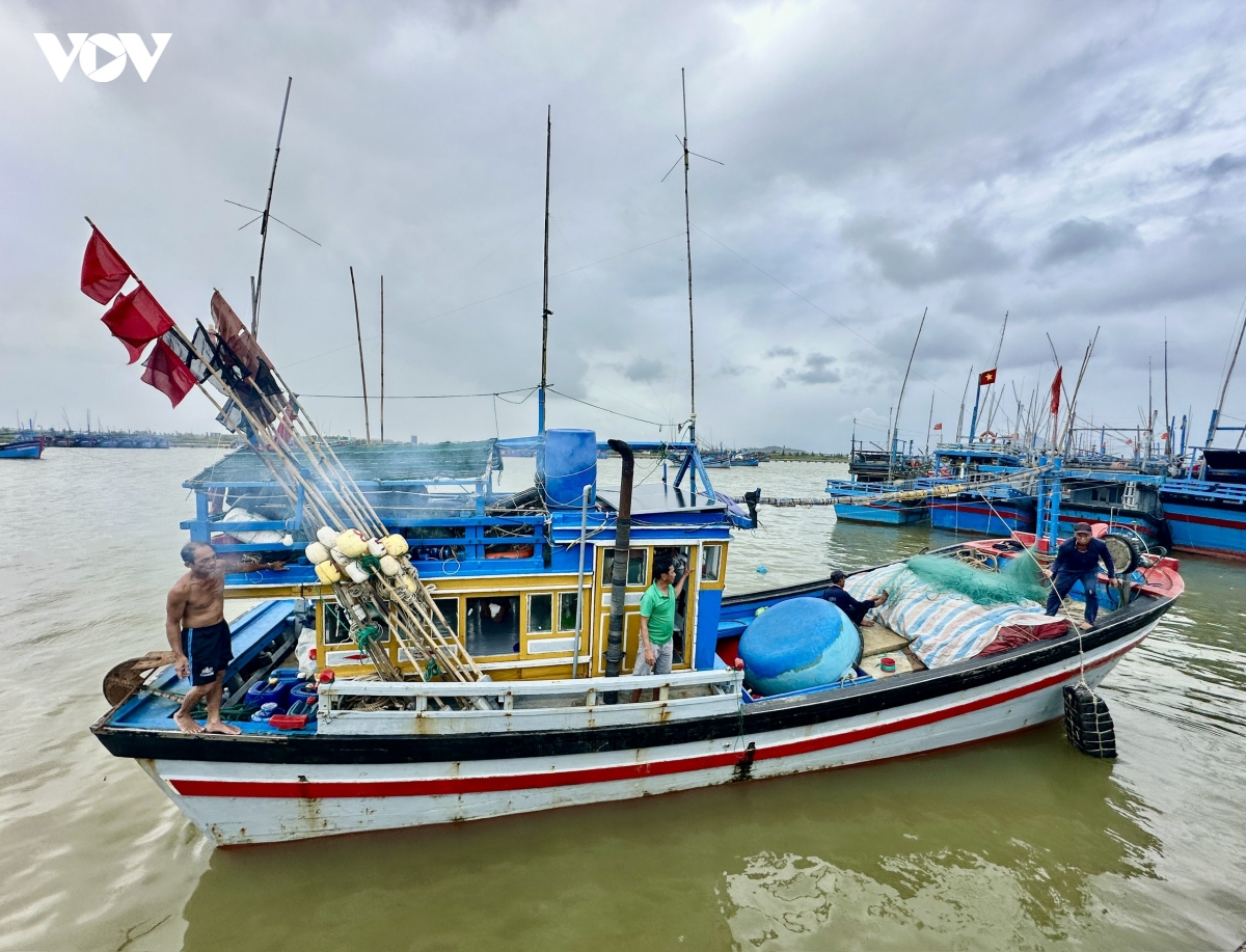 Dak lak ho tro den 200 trieu dong de giai ban tau ca, chuyen doi nghe hinh anh 1