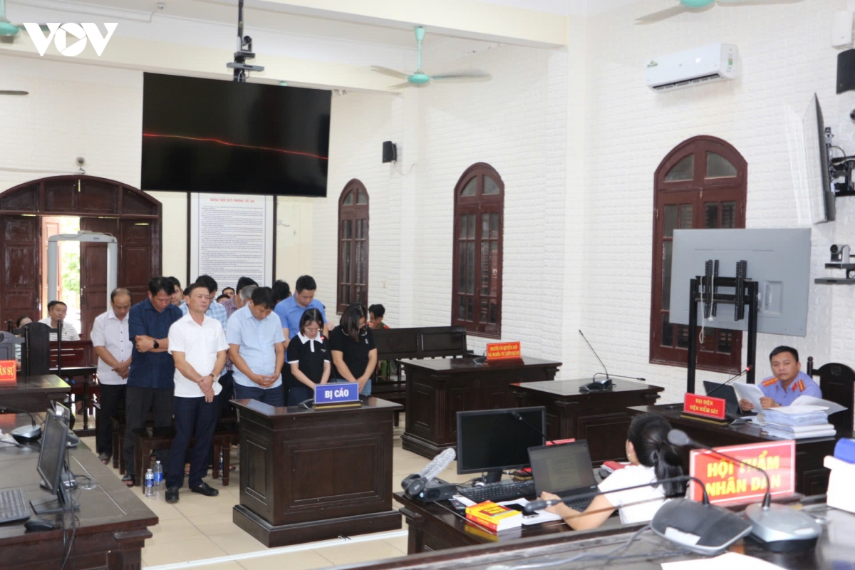 cap dat sai, cuu pho chu tich ubnd huyen tai quang tri lanh an tu hinh anh 2