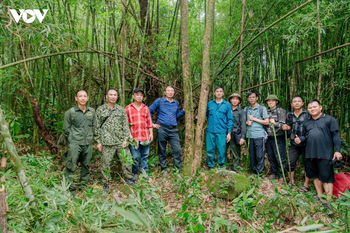 quang ninh hanh trinh danh thuc nhung lao tra tram tuoi tai vung dat Duong hoa hinh anh 13