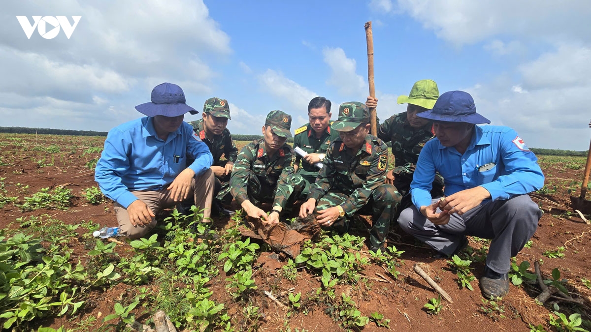 Dong nai tim thay cay but ben phan mo tap the co dong chu tien quy hinh anh 5