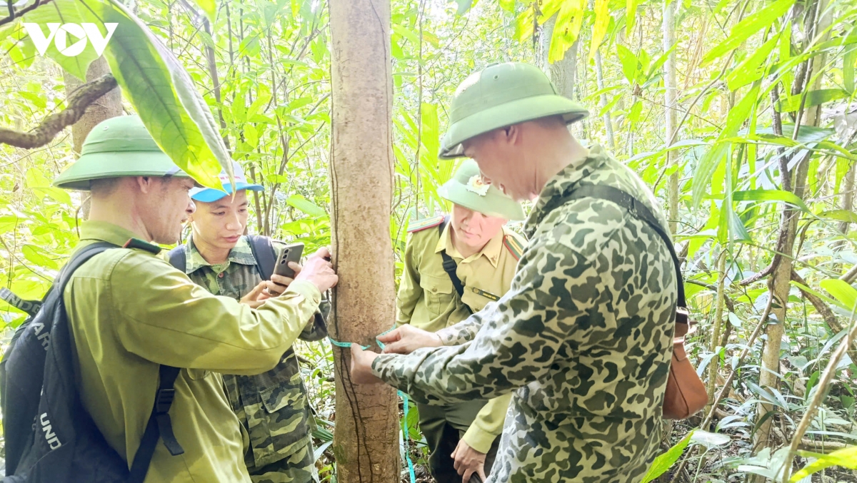 quang ninh phat hien quan the che hang tram nam tuoi hinh anh 3
